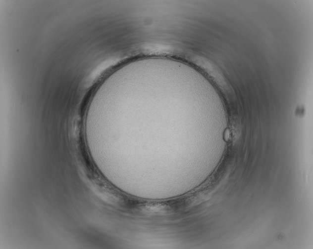 X0000090770583200708172109