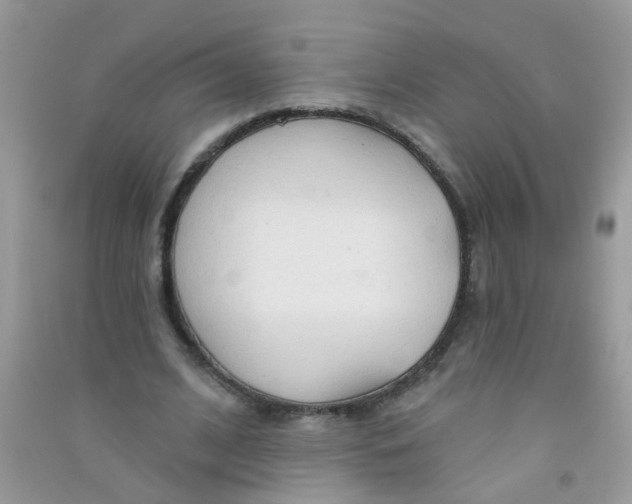 X0000090770584200708172109
