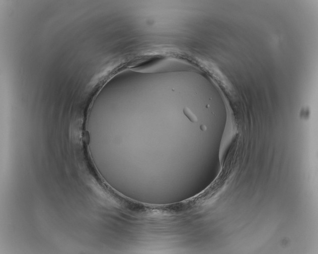 X0000090770585200708172109