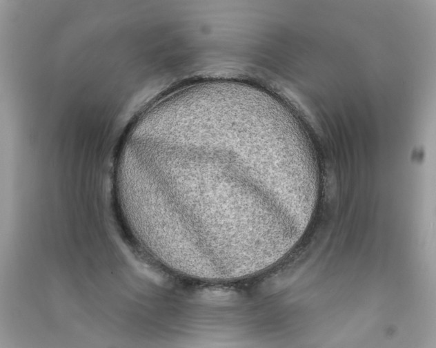 X0000090770586200708172109