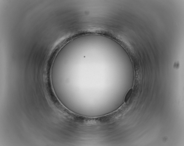 X0000090770587200708172109