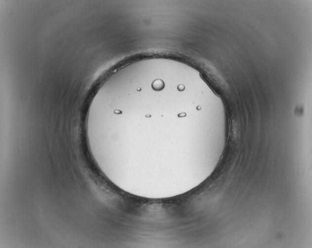 X0000090770588200708172109