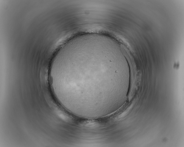 X0000090770589200708172109