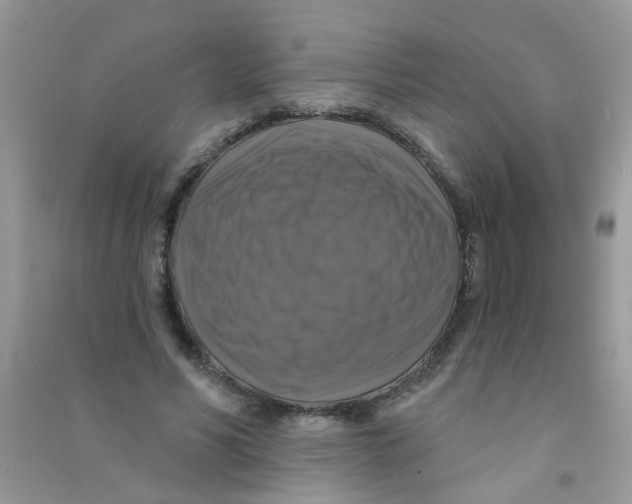 X0000090770590200708172109