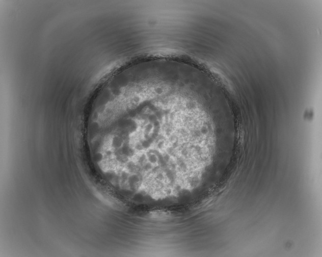 X0000090770591200708172109
