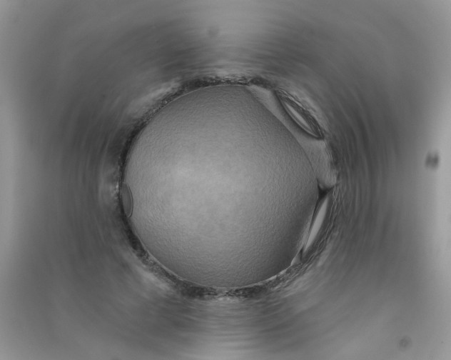 X0000090770593200708172109