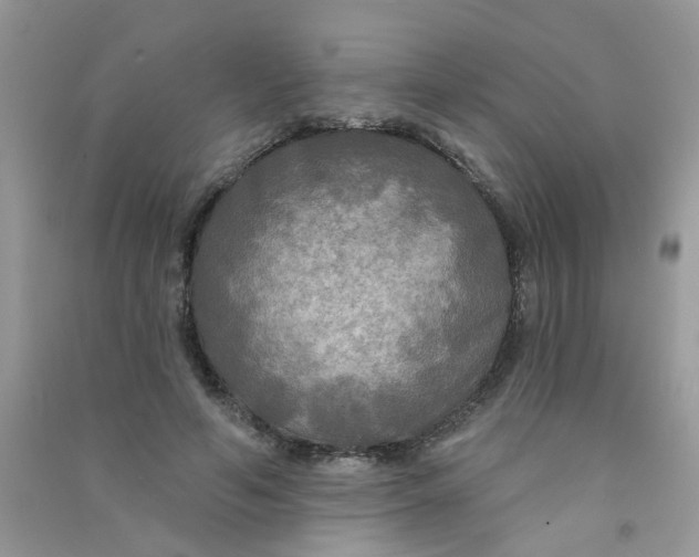 X0000090770594200708172109