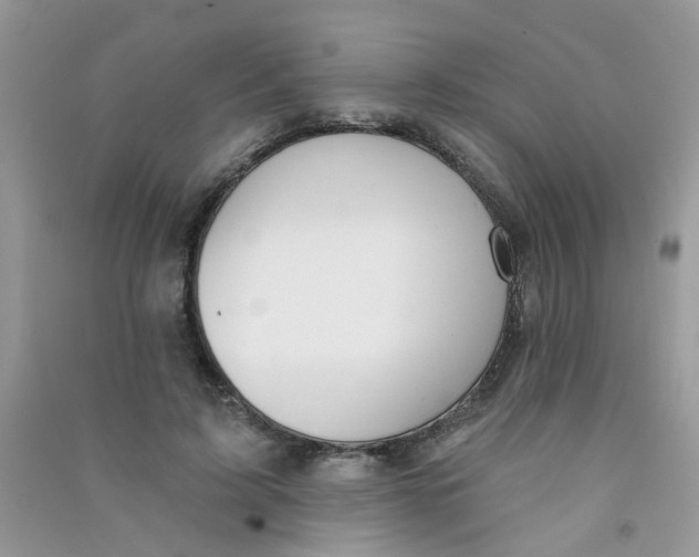 X0000090770595200708172109