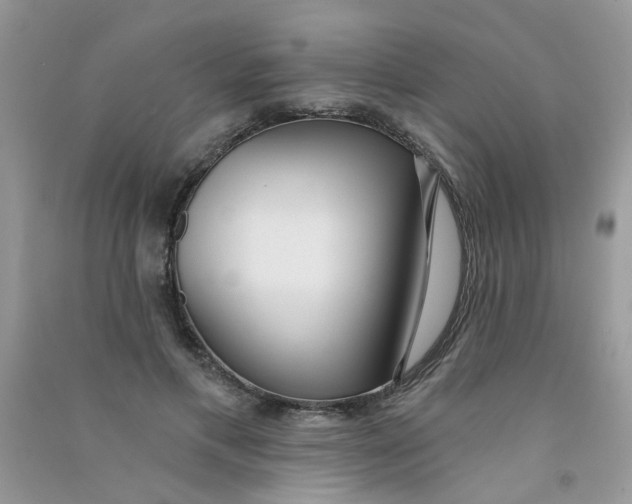 X0000090770597200708172109
