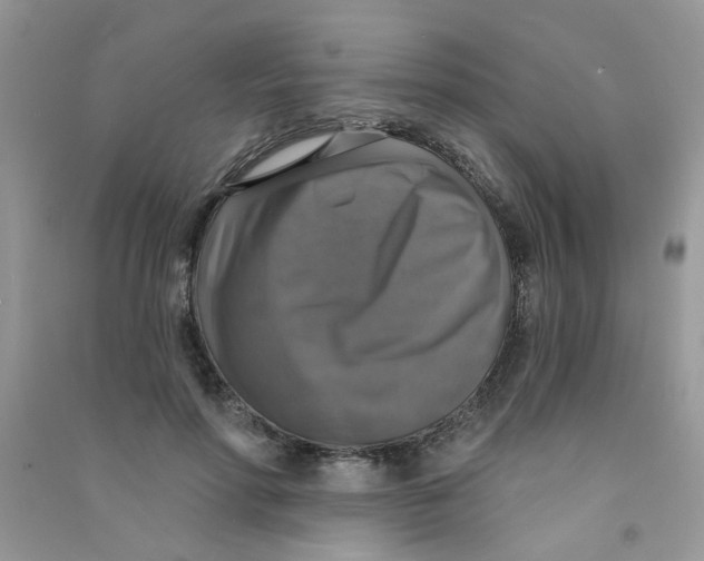 X0000090770598200708172109