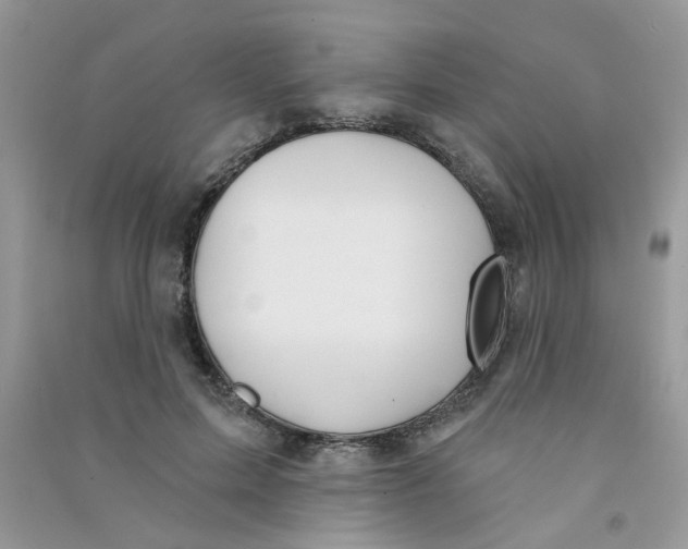 X0000090770599200708172109