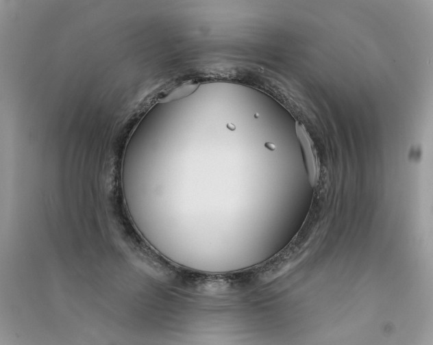 X0000090770600200708172109