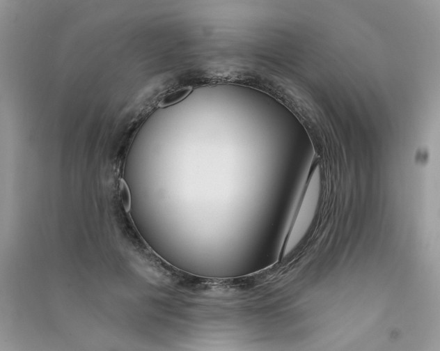 X0000090770601200708172109