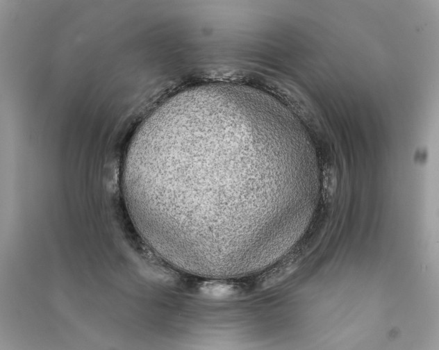 X0000090770602200708172109