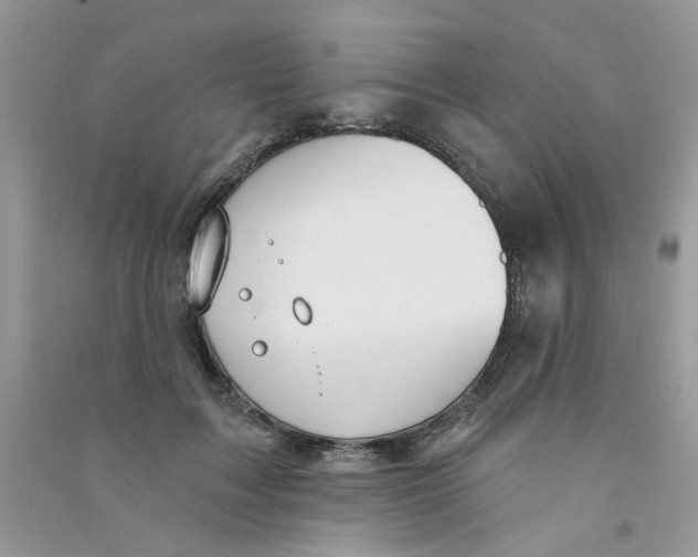 X0000090770603200708172109