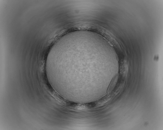 X0000090770604200708172109