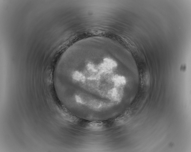 X0000090770606200708172109
