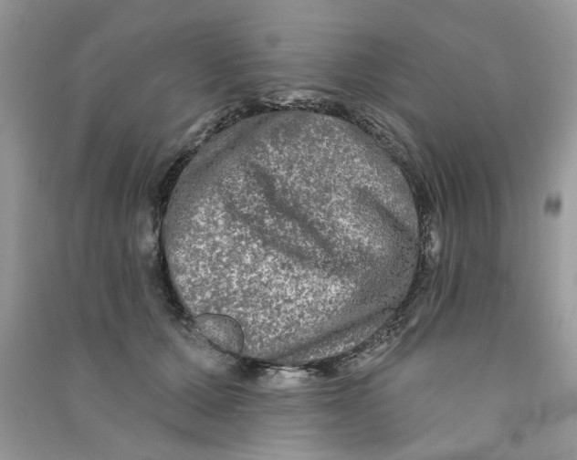 X0000090770607200708172109