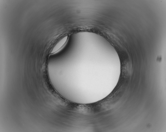 X0000090770608200708172109