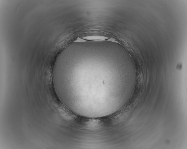 X0000090770609200708172109
