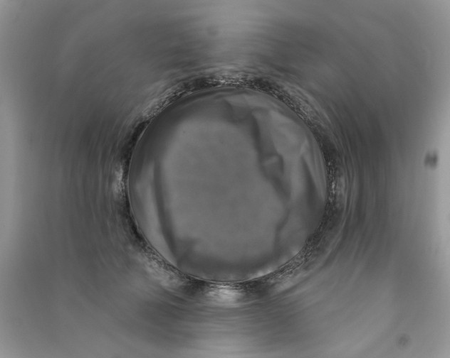 X0000090770610200708172109