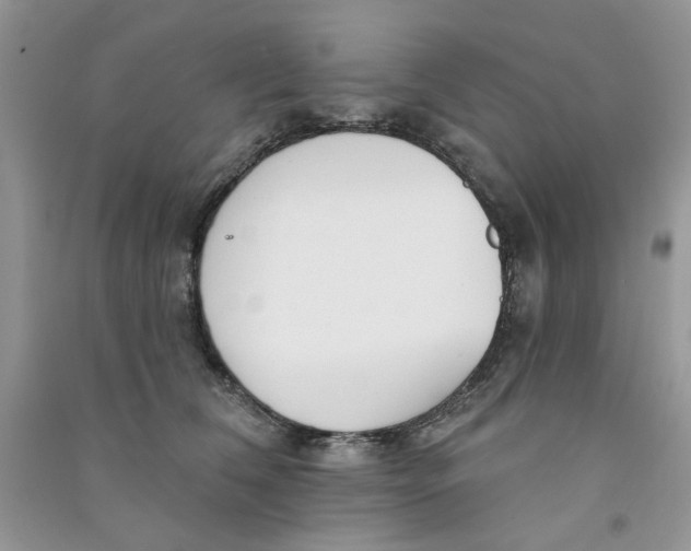 X0000090770612200708172109