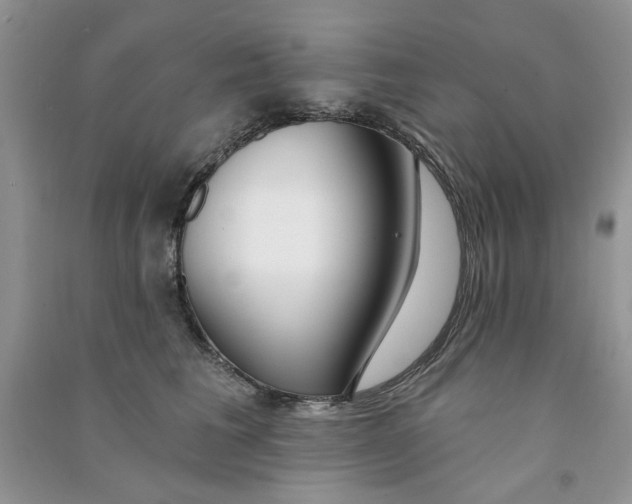 X0000090770613200708172109