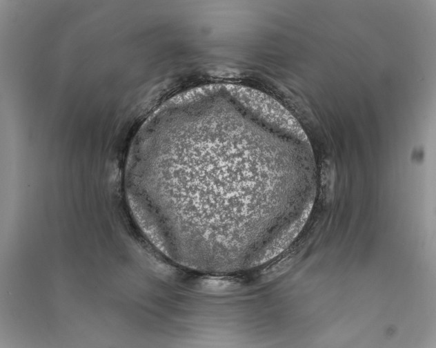 X0000090770614200708172109