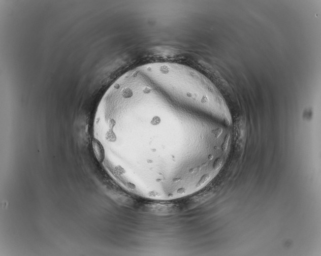 X0000090770615200708172109