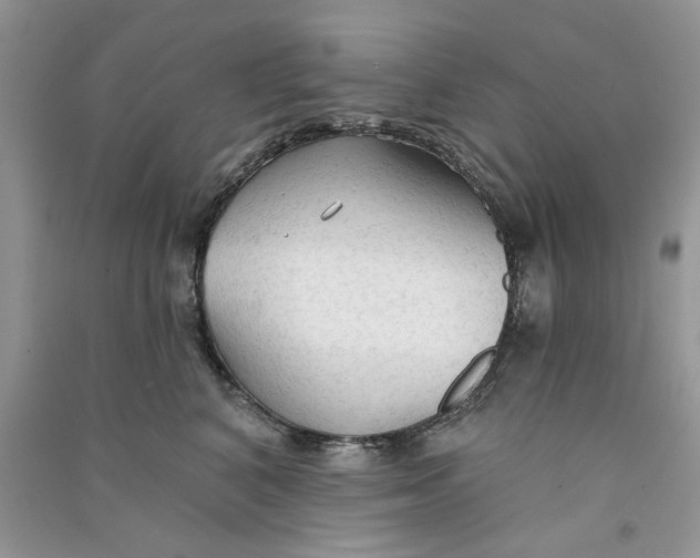 X0000090770616200708172109