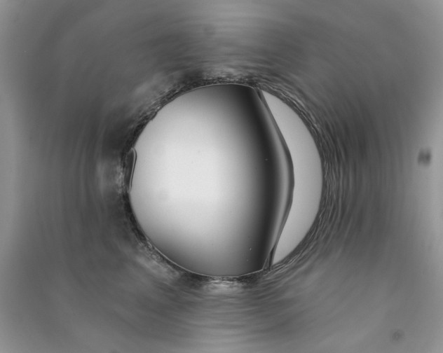 X0000090770617200708172109