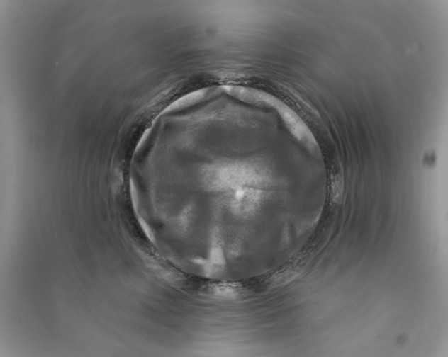 X0000090770618200708172109