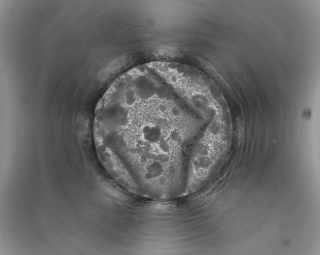 X0000090770619200708172109