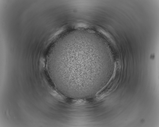 X0000090770621200708172109