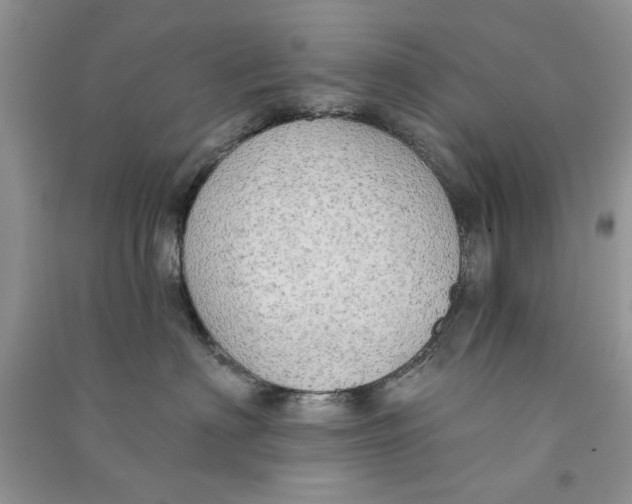 X0000090770622200708172109