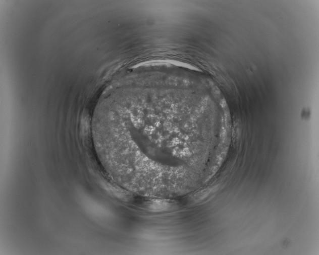 X0000090770623200708172109