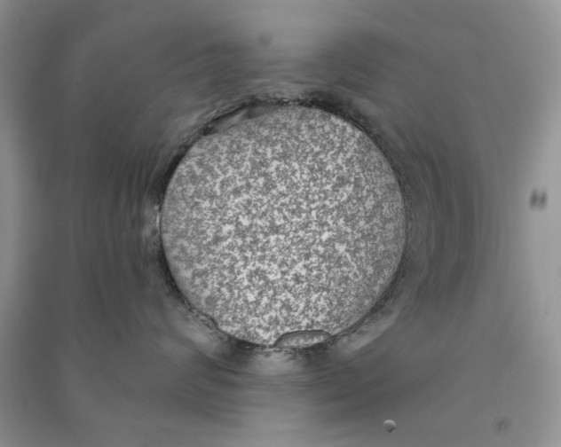 X0000090770624200708172109