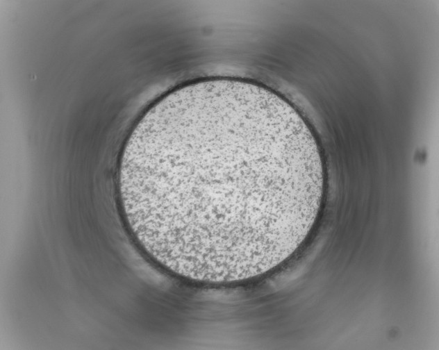 X0000090770625200708172108
