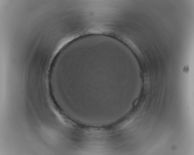 X0000090770626200708172108
