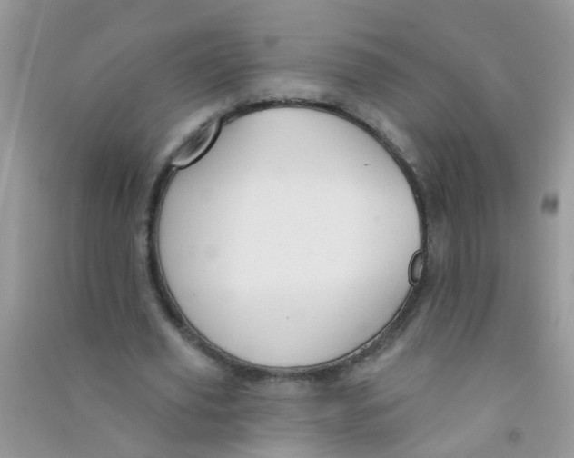 X0000090770629200708172108