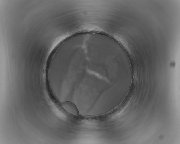 X0000090770630200708172108
