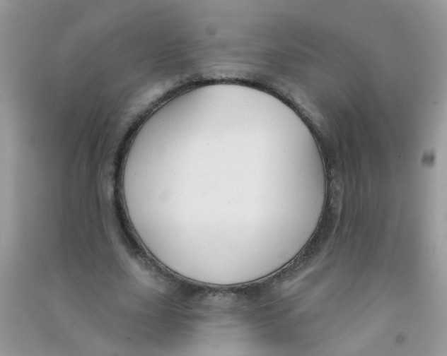 X0000090770631200708172108