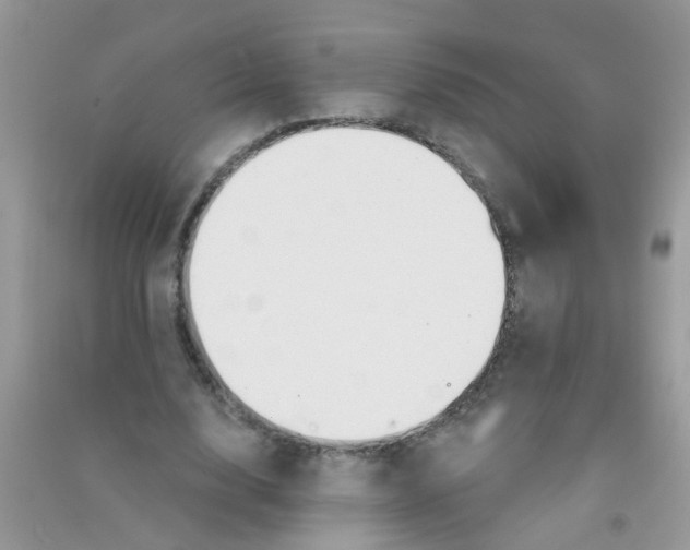 X0000090770632200708172108
