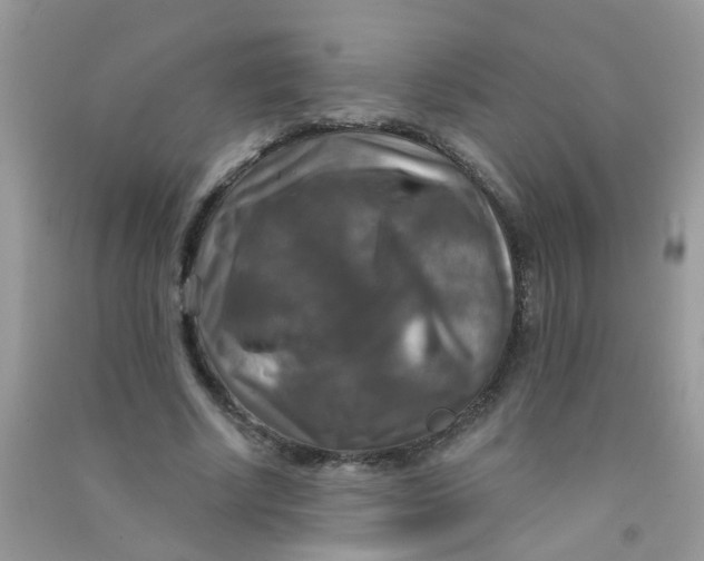 X0000090770634200708172108