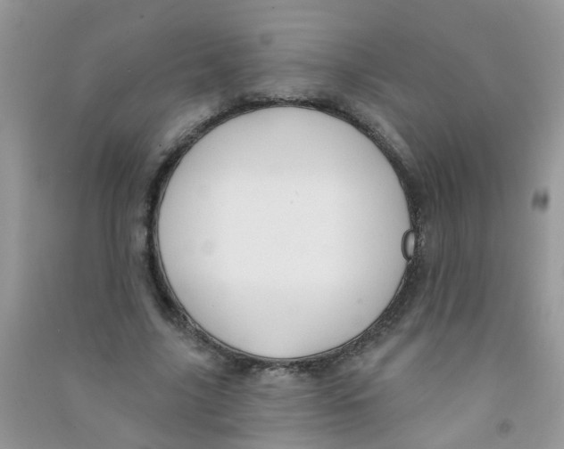 X0000090770635200708172108