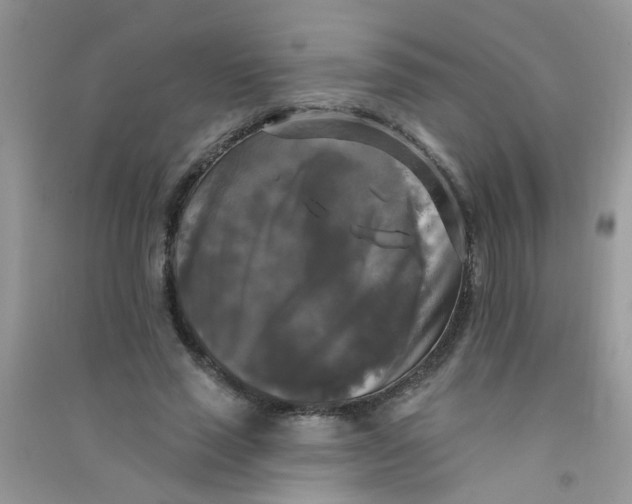 X0000090770637200708172108