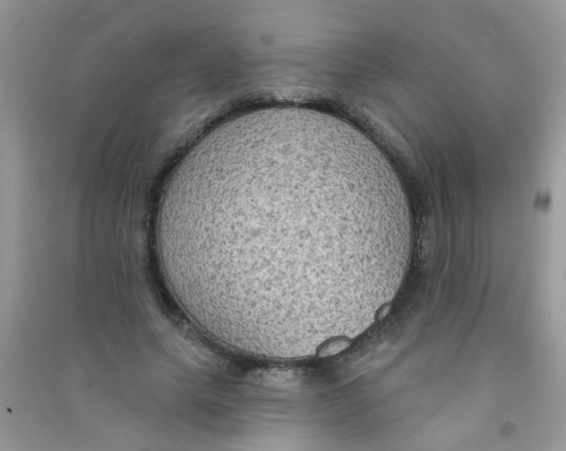 X0000090770639200708172108