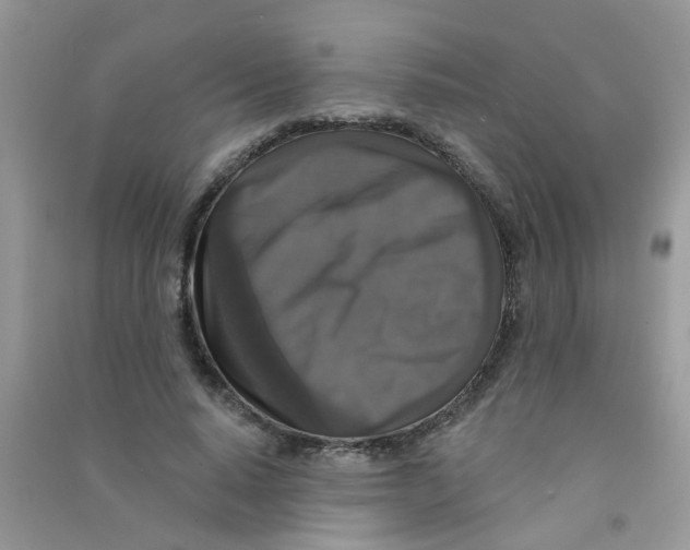 X0000090770640200708172108