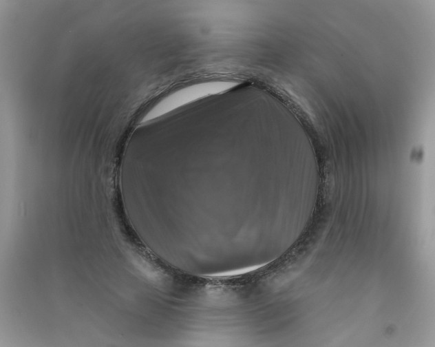 X0000090770641200708172108