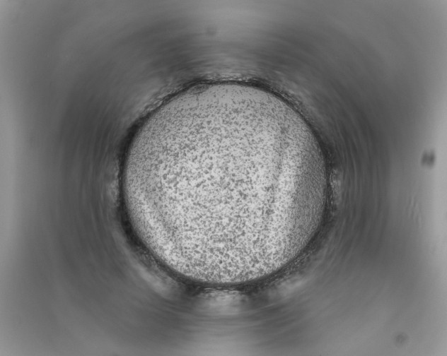 X0000090770642200708172108